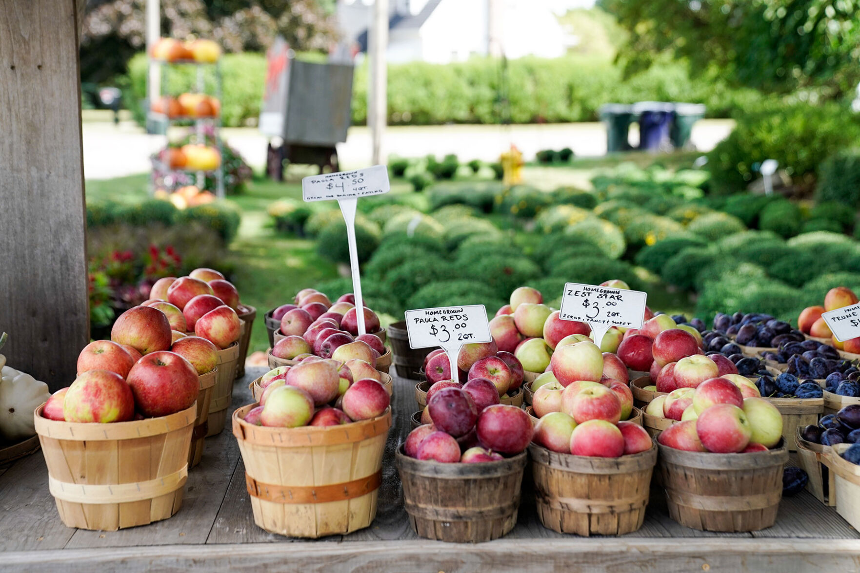 Georges-Market-apples.jpg